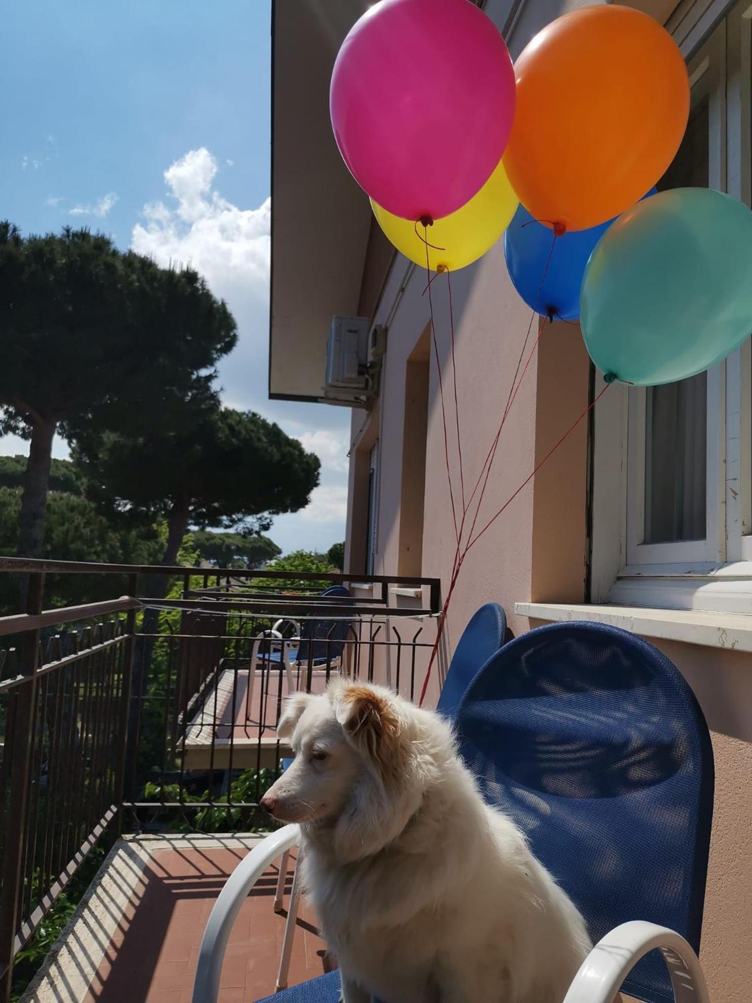 Casa Dorita - Free Breakfast Corner 8-12 Ξενοδοχείο Τσέρβια Εξωτερικό φωτογραφία